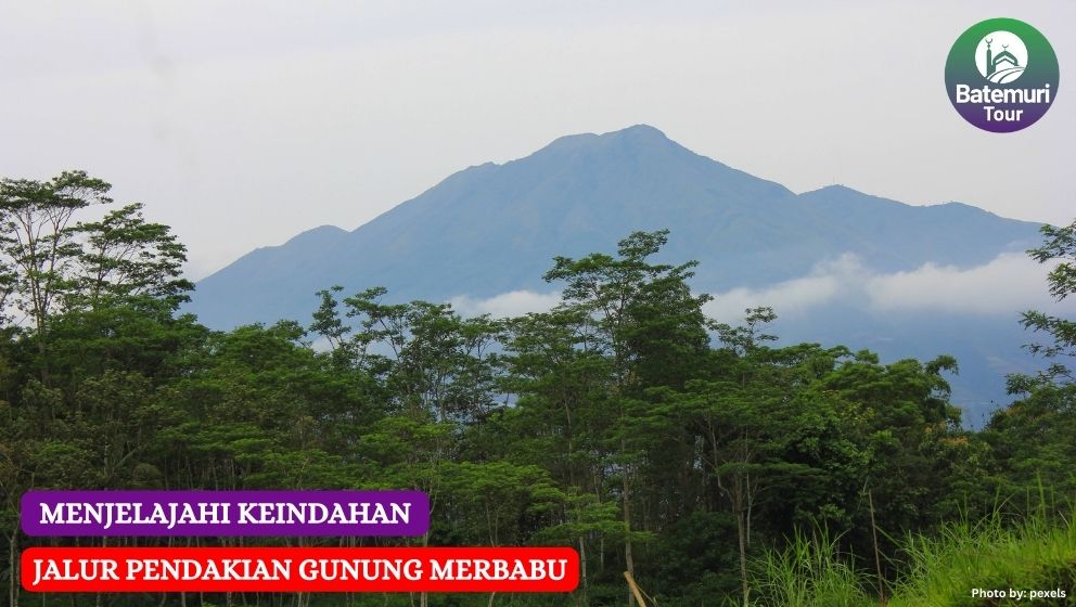 Menjelajahi Keindahan Jalur Pendakian Gunung Merbabu